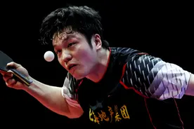 乒超联赛名单公布，樊振东领衔上海队出战，新赛季双线征战乒超与德甲图片