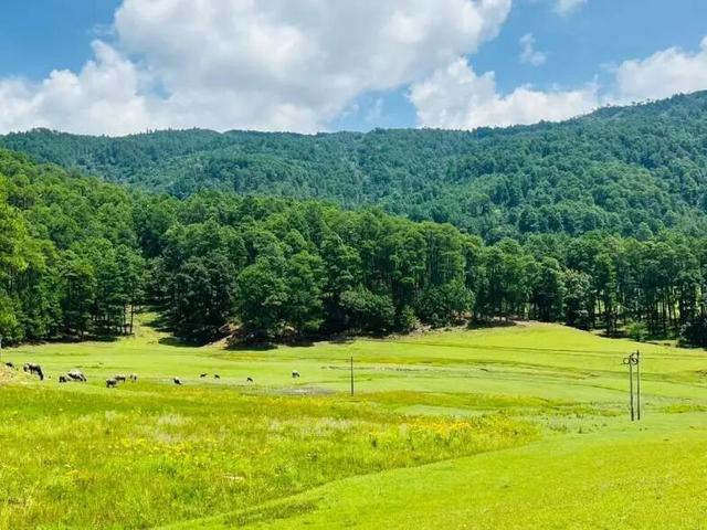 大理+滇西5县深度游！10条主题线覆盖非遗、古镇、美食、康养，这篇攻略直接抄作业