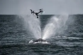 美国科学家震惊：封杀中国无人机，“简直是疯了！”图片