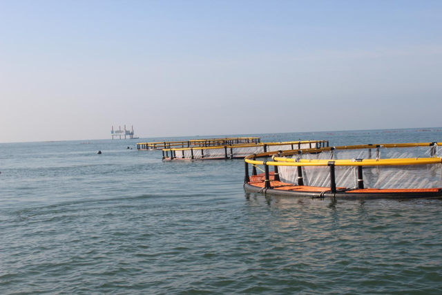 山海添新卷！新华社接连聚焦日照