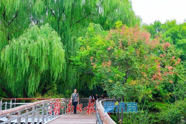一年四季 泉在济南丨微风不燥秋意浓，泉城公园开启市民休闲露营模式