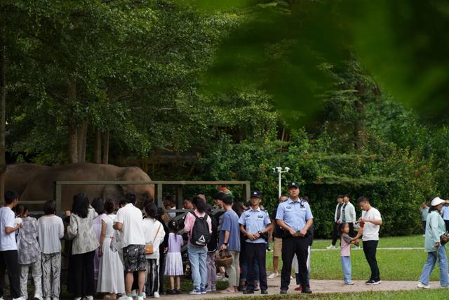 您的勋章，是西双版纳的通行证 | 2025-2026，国家A级旅游景区致敬人民警察（第一批）