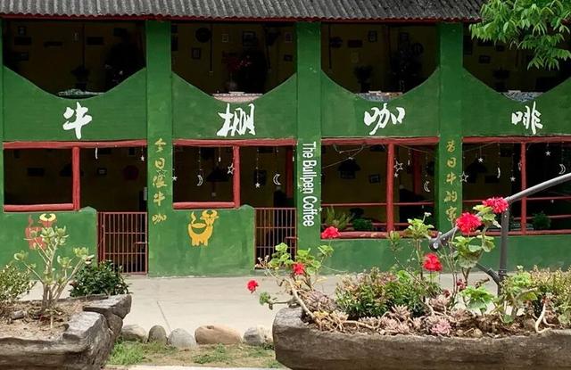 撸猪、攀岩……云南这些咖啡馆太会玩