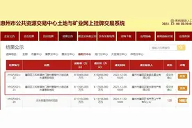 6.8亿元底价，惠阳城投摘牌淡水两宗5.6万平地块图片