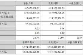 小游戏项目流水增加，掌趣科技增收不增利，净利润同比降一成图片