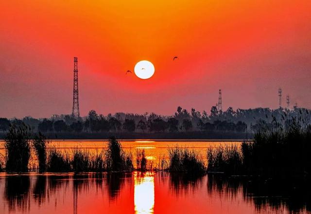 网络中国节·七夕丨属于沛县的专属浪漫记忆……