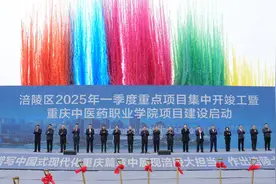 重庆涪陵：39个重点项目集中开竣工，总投资达110.7亿元图片