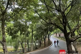 打开“惊喜盲盒”！网络大V组团“探秘”巴中，好玩又涨知识！图片