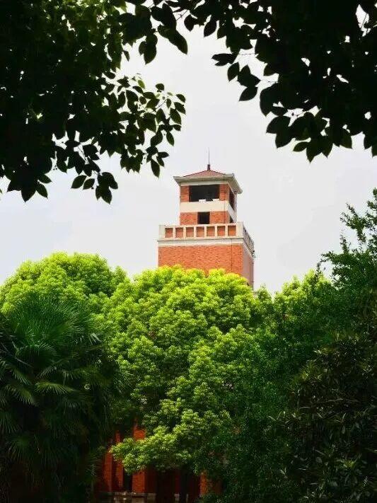 周末就去，洛阳这些街巷，太好“钻”了！