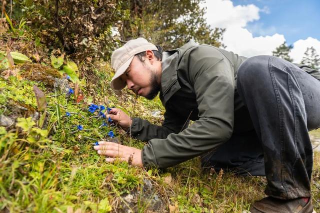 跟着“狐主任”游藏地