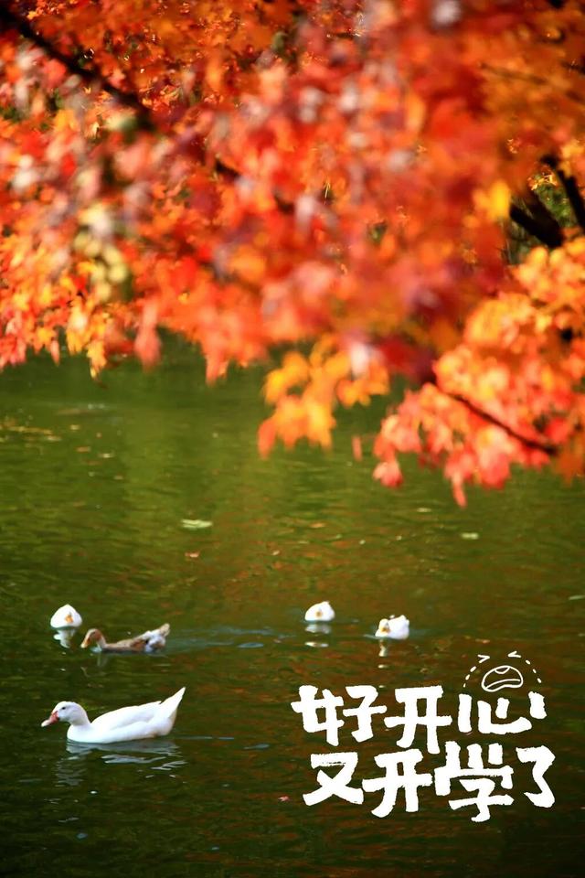 欢迎新同学！！