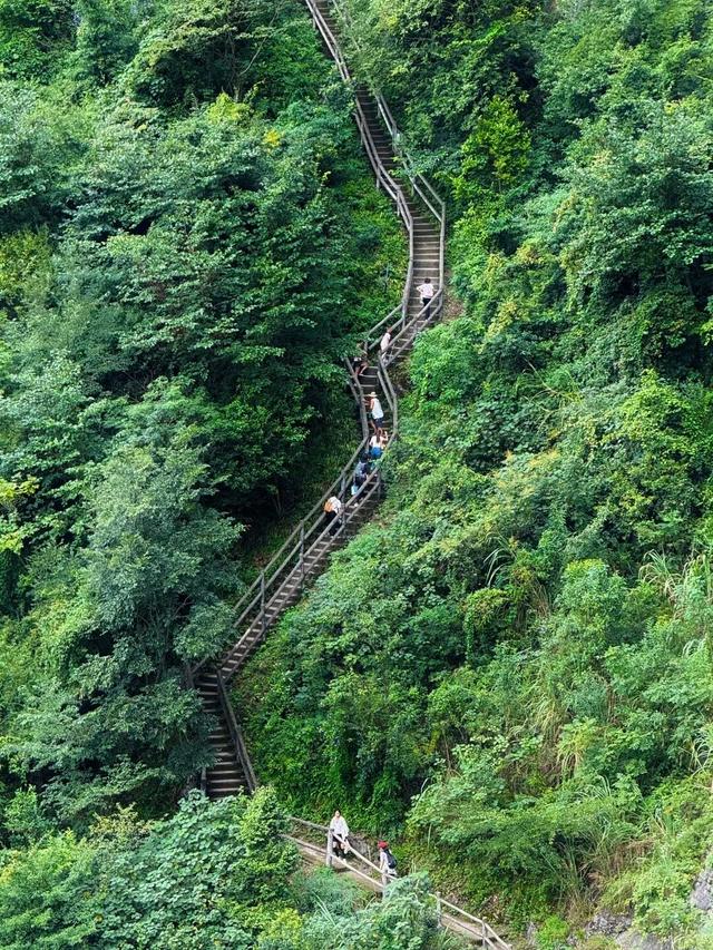 青睐绵阳 ‖ 冲！九皇山打卡领奖牌倒计时不足1个月，彩林秘境同步来袭，赶紧冲！