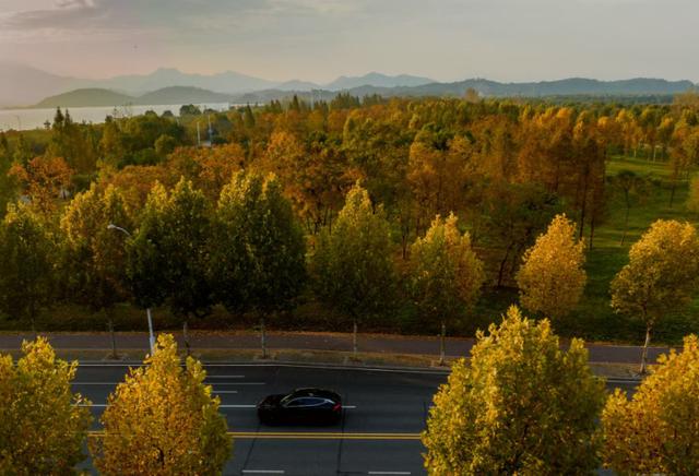 池州平天湖国家湿地公园景斑斓