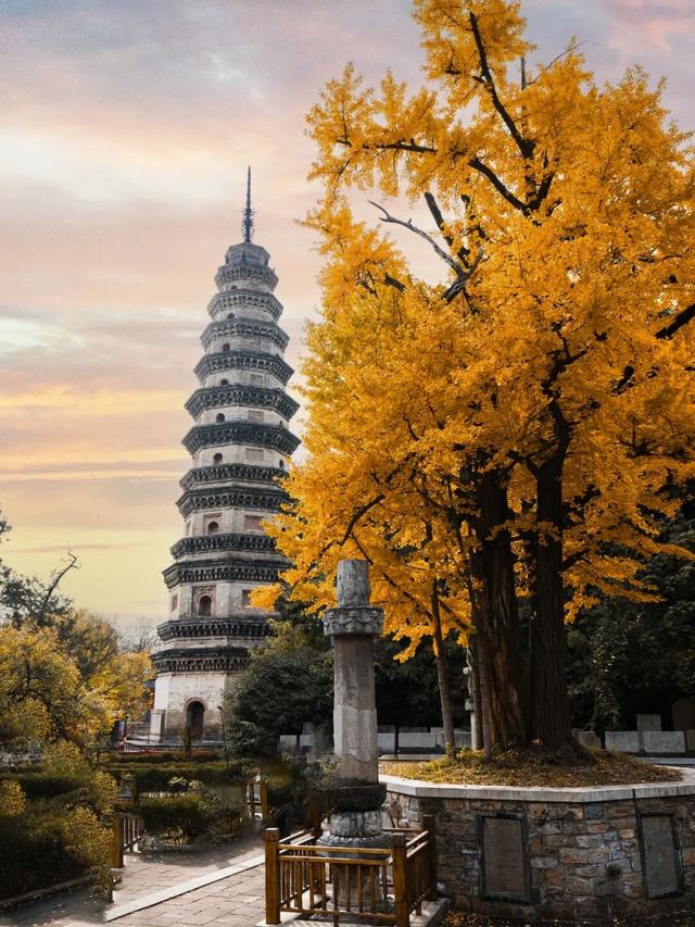 周末走起！济南有处“私藏秘境”：二重金色，千年之约！古银杏树+古刹，美出静谧诗意~~
