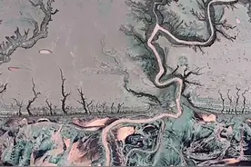 大自然的画作！浙江钱塘江再现绝美潮汐树！图片