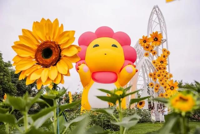 金色浪漫上线！奔赴秋日限定的向日葵花海→