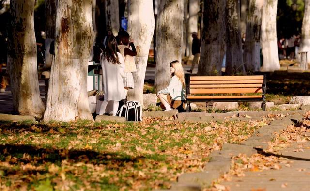 治愈！走进武汉这片金色童话，捧起落叶当花撒