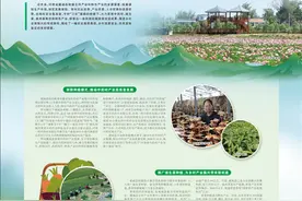 河南虞城  三大特色产业助力乡村全面振兴图片