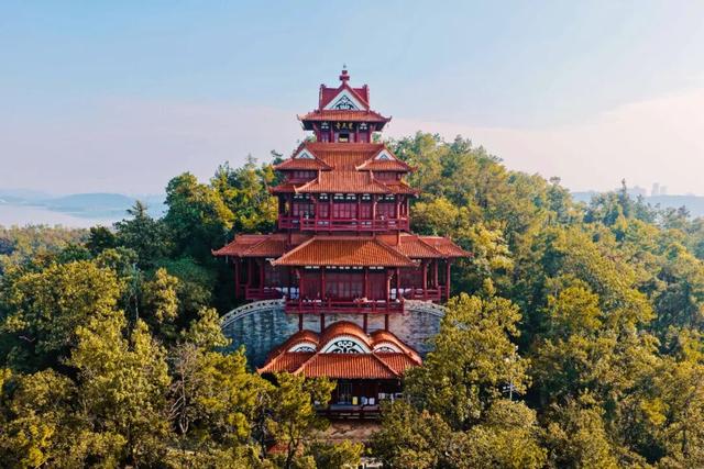 东湖秋日图鉴③｜磨山秋笺：一叶一诗，帧帧藏秋韵