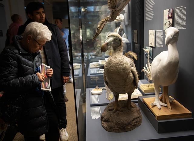 柏林：博物馆里的科学“校园”