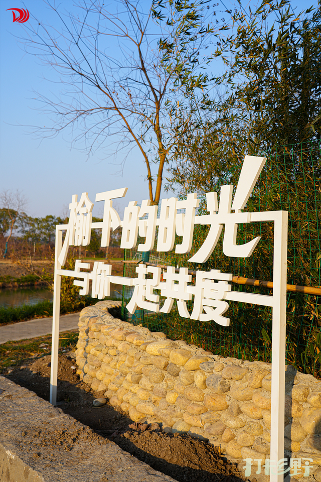 打卡乡野丨新年第一站，去上海离宇宙最近的村子，仰望星空，脚踏田野，开启元气新年