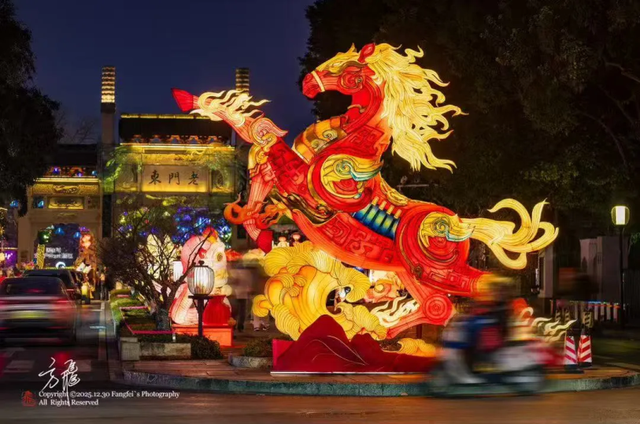 门东新“顶流”！一棵美到让全南京排队围观的树！