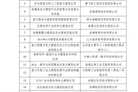 50个案例入选！山东省人工智能大模型典型应用案例名单公布图片