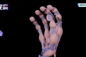 “机械手”一体成型  3D打印走向高精度图片