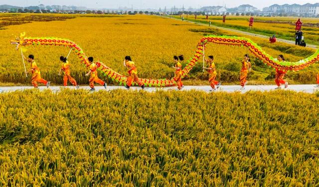 秋日限定，太仓这里超好玩！