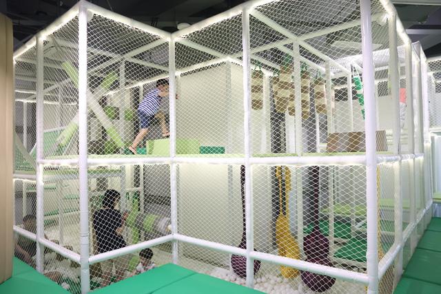 场面｜加码亲子业态：天安千树开出4000平方米自然探索馆