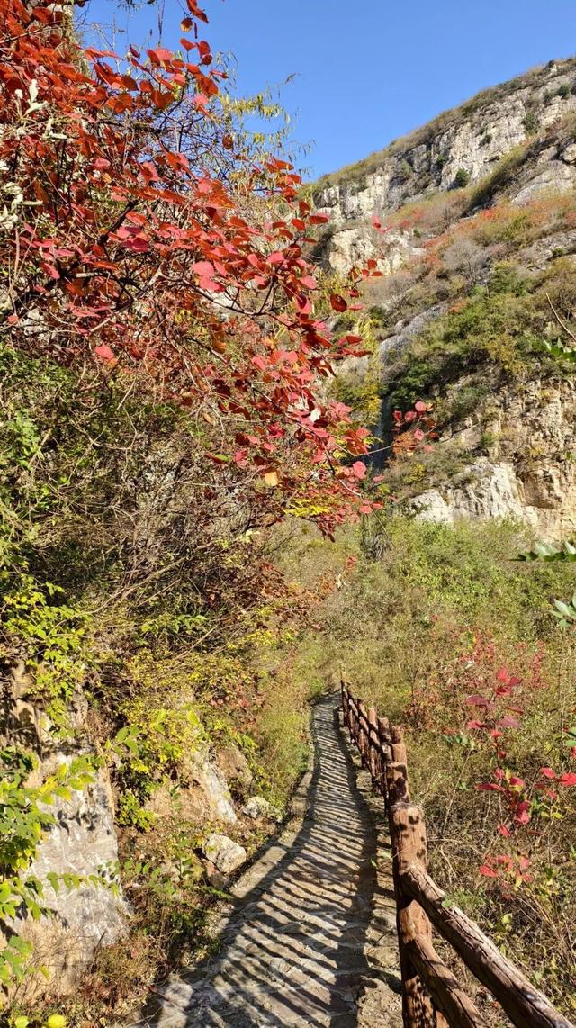 9.9元！深秋里寻一处静谧！本周六出发，打卡长清王泉摩崖石窟、义静寺！