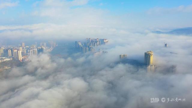 云海漫红果，仙境入画屏
