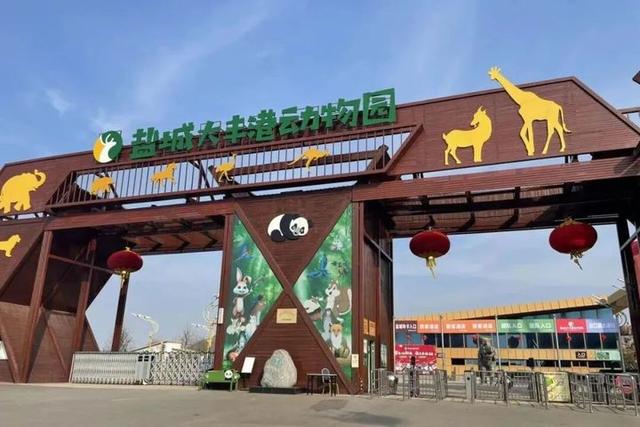 教师节福利！江苏两地多个景区官宣：免费！