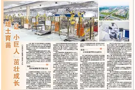 盘活低效工业用地补齐民生短板项目图片