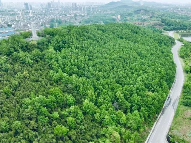 就在今晚！淮南春申里，我们不见不散！