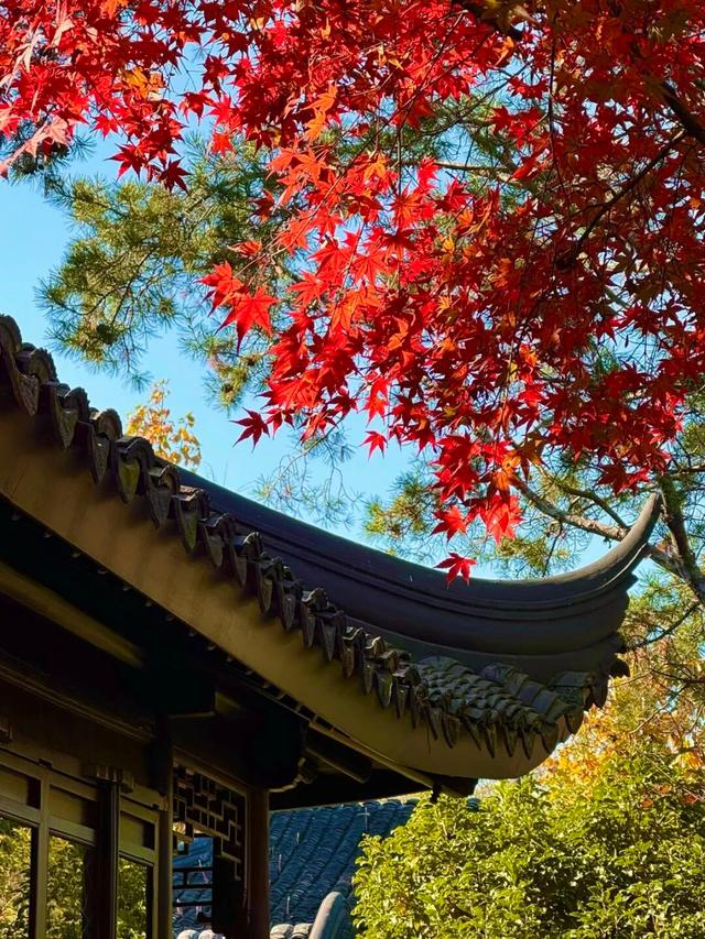 正式亮相！古城添新，相约最美的季节~