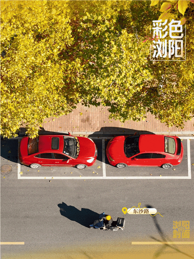 浏阳粉色公交站出圈，太浪漫了！