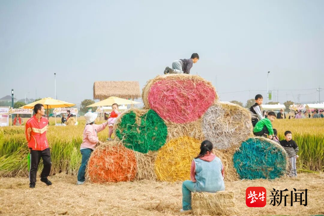 金色稻浪奏响丰收曲，第三届稻田嗨玩季在双凤镇庆丰村稻田理想园激情启幕