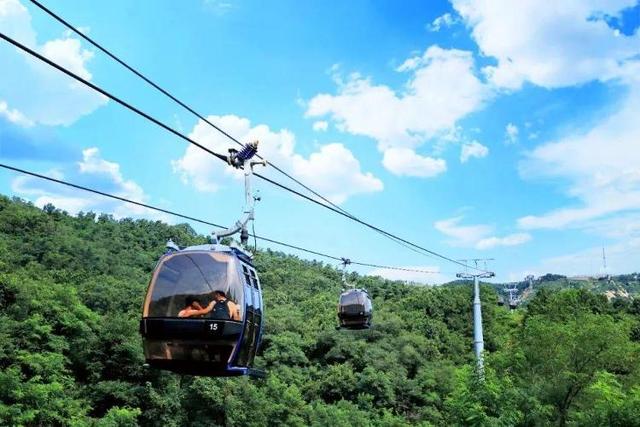 谁说旅游靠腿？来山东这么玩，日均步数＜5K！