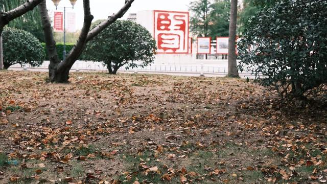 域见上海·域见奉贤｜奉浦秋日限定！这三条宝藏路线，承包所有秋日浪漫，刷爆朋友圈就靠它