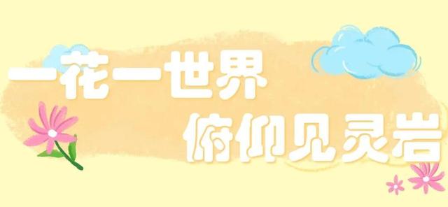 汉风微演艺、唐宋茶会、暖秋市集，国庆中秋济南灵岩寺就等你啦！
