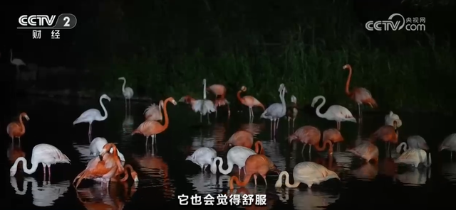 N种玩法解锁各地“清凉”新场景 暑期“小美好”汇成消费“大留量”