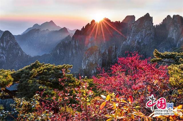 黄山：层林尽染 一幅幅醉美秋色画卷(图)