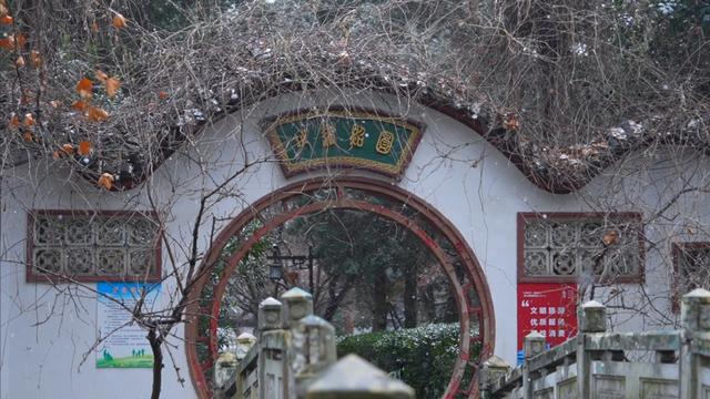 定格浪漫！吴江初雪美景图鉴！