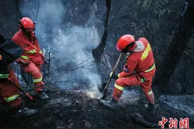 山西临汾山火明火已灭 进入火场清理阶段图片
