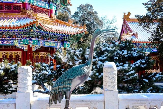 北京全城等雪来！故宫约不上？这些地方随手一拍也是大片——