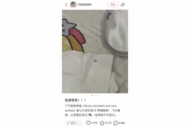 这首歌能灭蚊？广东人狂喜！专家回应图片