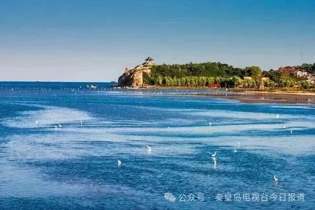 最新通知！秦皇岛多个景区营业时间调整→