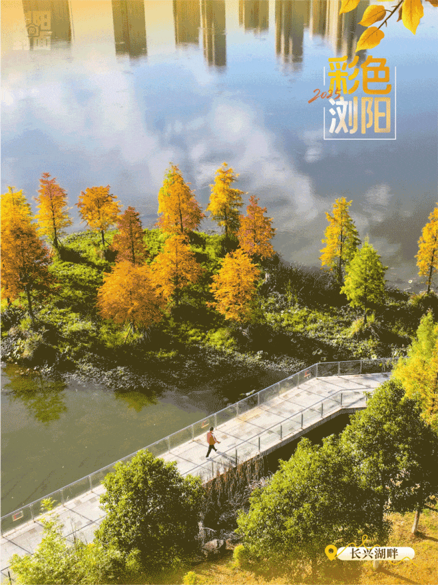 浏阳粉色公交站出圈，太浪漫了！