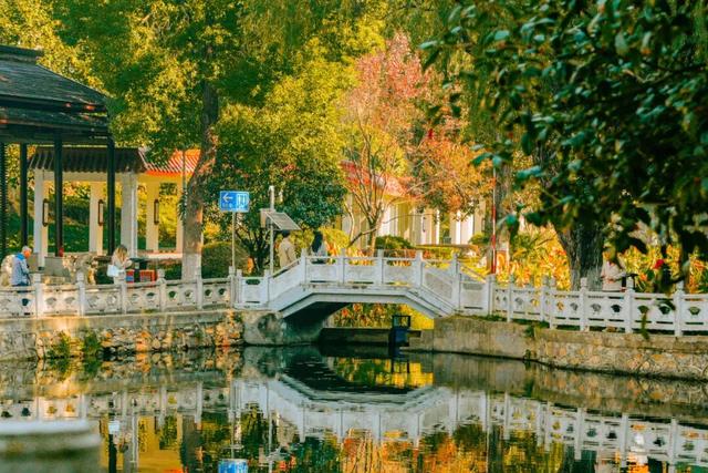 在江汉，听见公园里的秋色私语